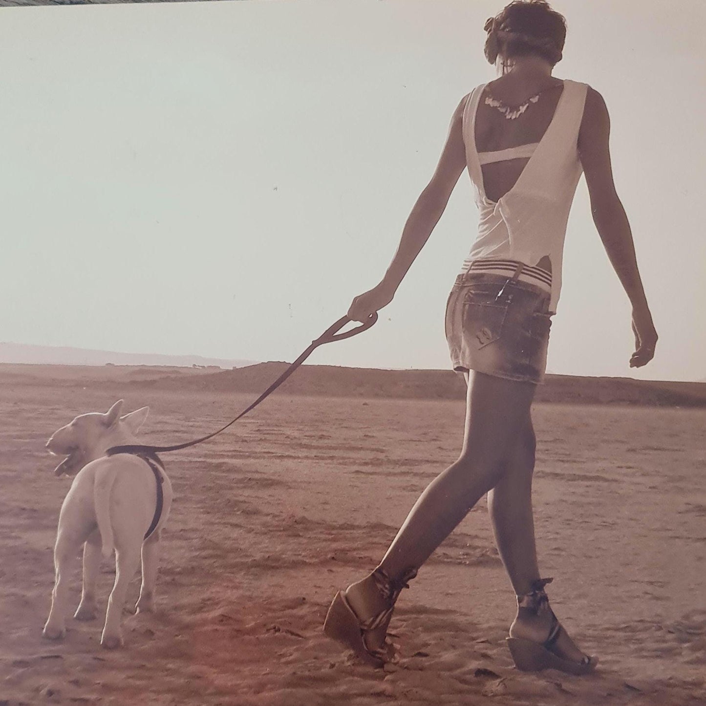 Detailed Bull Terrier Dog Band Ring 925 - Sterling Silver Handmade Animal Jewelry  -