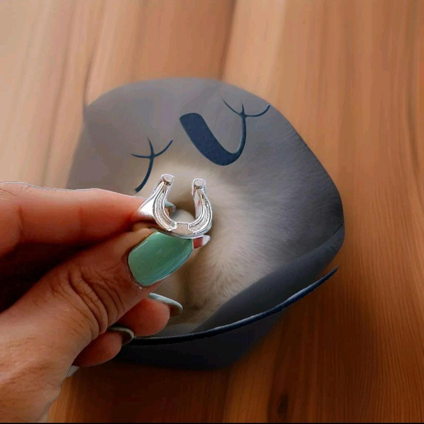 Sterling Silver Horseshoe Signet Ring - Lucky Charm