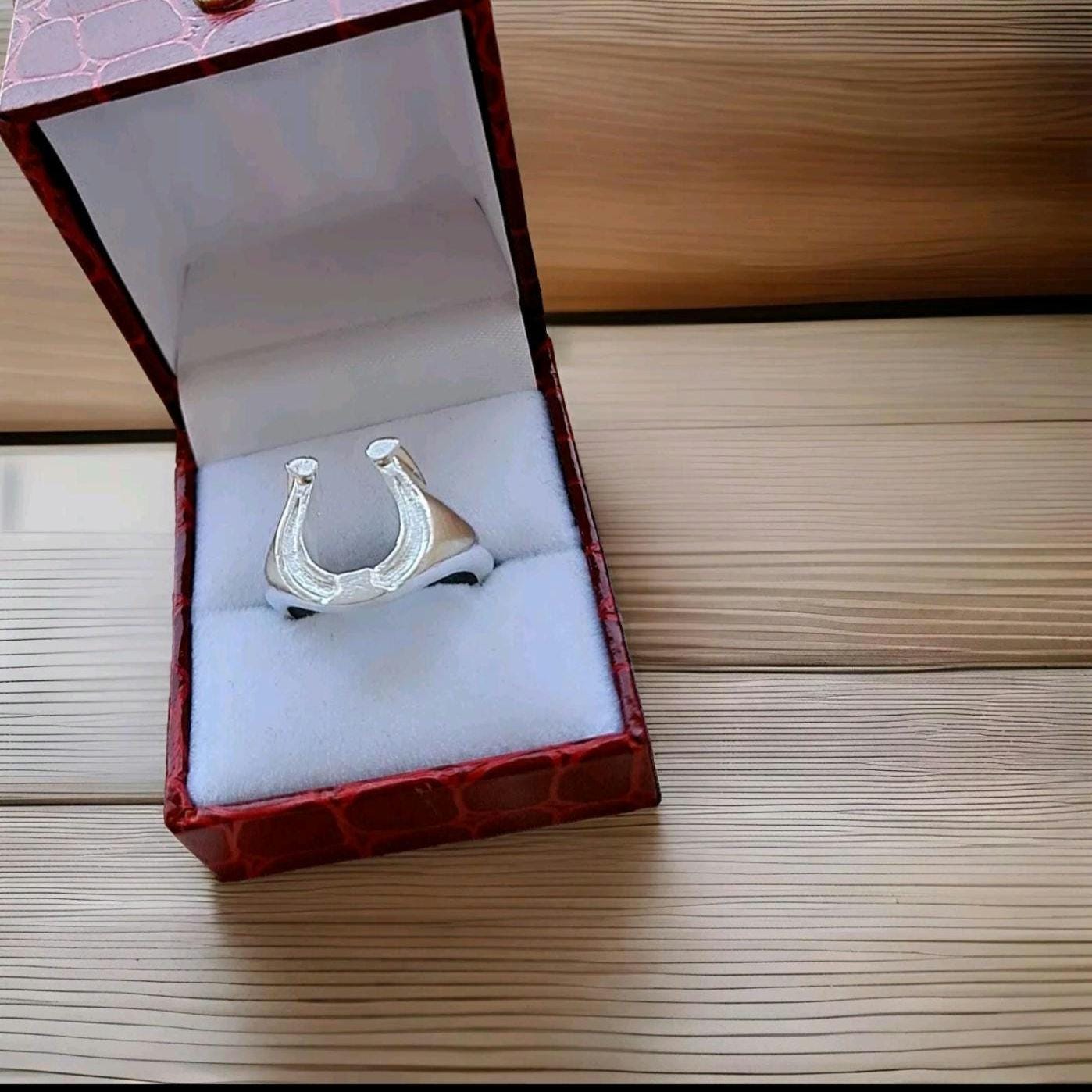 Sterling Silver Horseshoe Signet Ring - Lucky Charm