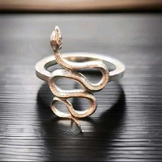 Handmade Sterling Silver Snake Ring: Ouroboros Design