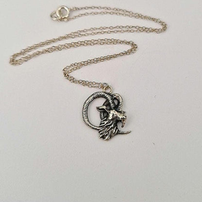 Sterling Silver Goat Necklace: Delicate Capricorn Pendant, 45cm Chain