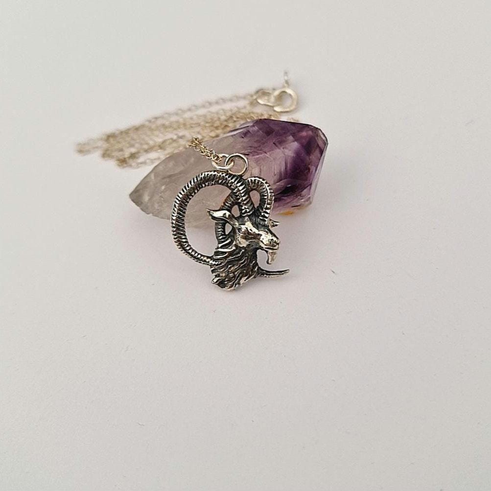 Sterling Silver Goat Necklace: Delicate Capricorn Pendant, 45cm Chain