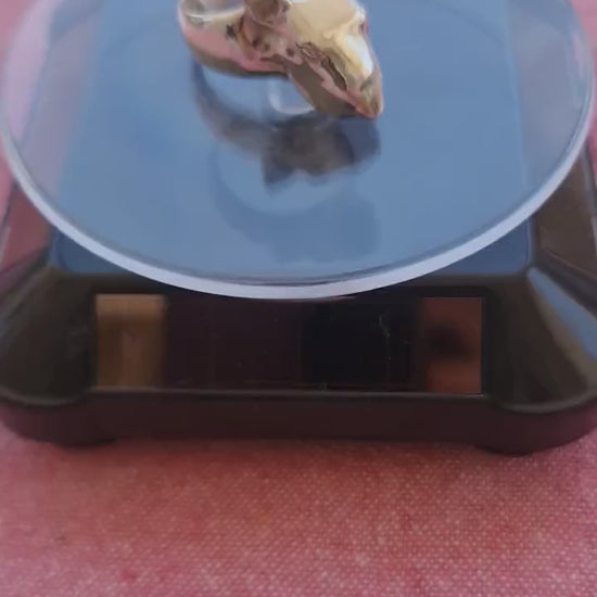 Handmade Sterling Silver Bull Terrier Ring: anatomically accurate